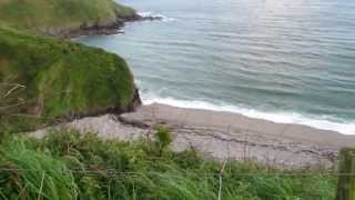 Walk to Lantic Bay through Furze Park in Polruan by Fowey in Cornwall 08 [upl. by Franzen]