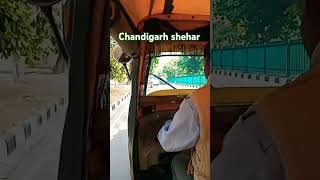 Chandigarh shehar 😍 punjabisong pleasesubscribe support me👍 [upl. by Nai22]