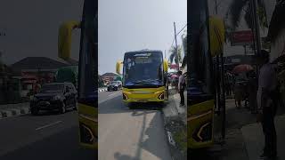 CHAPLIn tisal group busmania automobile buspariwisata telolet tunggaljayatransport darthvader [upl. by Adnof]