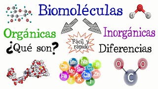 🌐Biomoléculas Orgánicas e Inorgánicas💫 Fácil y Rápido  QUÍMICA  BIOLOGÍA [upl. by Allesiram642]