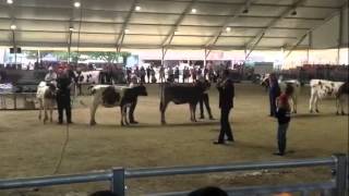 Semex Dairy Youth Challenge in Australia 2013 [upl. by Tews134]