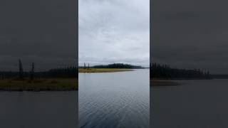 Clearwater Lake in Interior Alaska during early September 2024 [upl. by Knobloch]