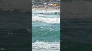 Bondi Surfing Sydney Part 3 [upl. by Nilloc]