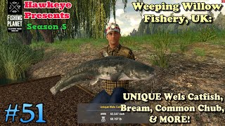 Fishing Planet 51  S5 Weeping Willow Fishery  UNIQUE Wels Catfish Bream Common Chub amp MORE [upl. by Eleahcim]