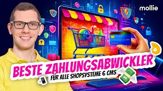 Der beste Zahlungsabwickler für Shops aller Art 😍 eCommerce Zahlungsmodul 👉 Mollie aus Amsterdam 🤝 [upl. by Kalindi169]