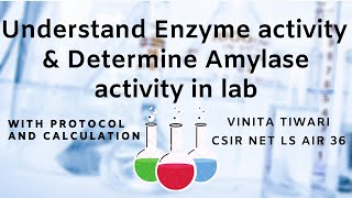 Enzyme activity  Alpha amylase activity determination in lab [upl. by Meryl]