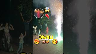 DIWALI 🎇 Ke FATAKE 😍😘 Day 358 minivlog ashortaday tranding shorts [upl. by Nnaassilem]