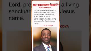 Let the mark of the blood of Jesus of divine favour rest on me  Dr DK Olukoya Prayers [upl. by Lashonde]