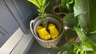 Yellow Crocs Original Piano Song Full version [upl. by Buyer]