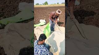 Organic Biofertilizer जैविक [upl. by Gertruda]