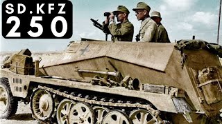 SdKfz 2503  BEST Light Reconnaissance Halftrack of WW2 ‘41 – ‘45 [upl. by Hillari]