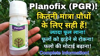 Bayer Planofix uses  Planofix bayer  bayer planofix plant growth regulator  planofix dose  PGR [upl. by Libna485]