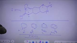 Nitrogenous Base In Organic Compounds [upl. by Namruht]