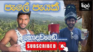 පැලේ පැයක්  Pele Peyak  COC [upl. by Eikcim]