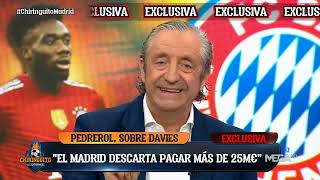 🚨 EXCLUSIVA JOSEP PEDREROL SOBRE DAVIES [upl. by Lexerd]