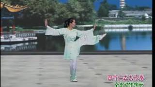 Competition 42 Form Tai Chi Chuan [upl. by Ahsinej]