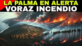 ¡EMERGENCIA EN CANARIAS INCENDIO MASIVO EN LA PALMA DEVORA MILES DE HECTÁREAS Y AMENAZA VIVIENDAS [upl. by Sauncho]