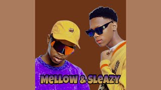 Mellow amp Sleazy  Makubenjalo 2  Amapiano Exclusive [upl. by Darnall]