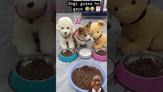 🤣🤣 dog pets funny cute puppy hiphopmusic music hiphop phonker automobile [upl. by Diane717]