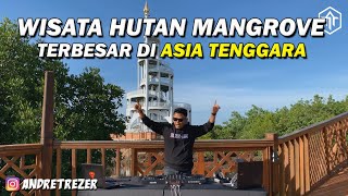 DJ LIVE PERFORM DI MENARA HUTAN MANGROVE TERBESAR DI ASIA TENGGARA  KOTA LANGSA ACEH INDONESIA [upl. by Ellennej]