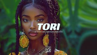 Afrobeat Instrumental 2024 quotTORIquot Afro Pop Dancehall x Afrobeat Type Beat [upl. by Lanette550]