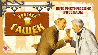 ЯРОСЛАВ ГАШЕК «ЮМОРИCТИЧЕСКИЕ РАССКАЗЫ» Аудиокнига Читают Александр Клюквин Александр Котов [upl. by Bautram]