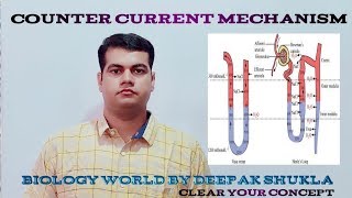 Counter Current Mechanism Countercurrentmechanism [upl. by Johnathan]