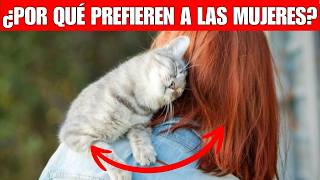 ¿Por qué los GATOS prefieren a las MUJERES  Lo que dice la ciencia [upl. by Aihsilef830]