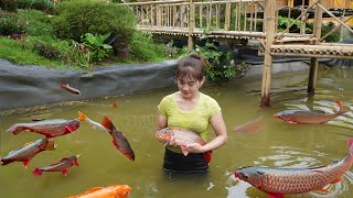 Harvesting Fishing At Fish Pond Goes To Market Sell  Cook Delicious Fish Hotpot [upl. by Dleifrag]