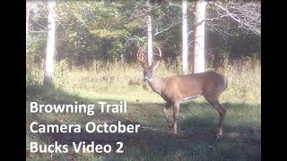 Browning Trail Camera October Bucks Two [upl. by Naitsyrk177]