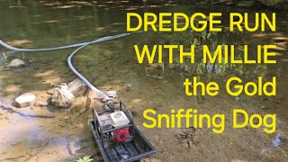 DREDGING IN INDIANA with MILLIE THE GOLD SNIFFING DOG ibpc prospecting [upl. by Helga904]