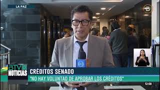 Senadores agenda solo dos de los siete proyectos de créditos aprobados en Diputados [upl. by Tonie]