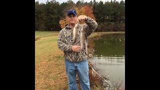 Trout fishing Howards Pond Elkton Maryland November 3 2015 [upl. by Syxela]