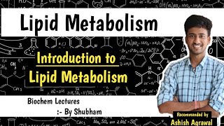 Introduction  Lipid Metabolism  Biochemistry Lectures [upl. by Merl]