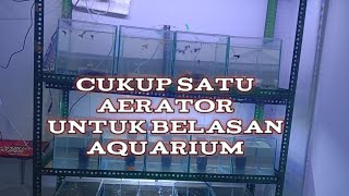 Satu Aerator Untuk banyak AquariumTank [upl. by Uot339]