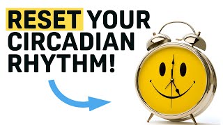 Can You Reset Your Circadian Rhythm [upl. by Aerdnod]