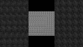 What do you see stereograms magiceye funnyimages spaceout spendingtime animal [upl. by Seen161]