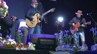 LOS APUS DEL PERÚ ► Mix HUAYNOS  EN CONCIERTO En Vivo ♫ [upl. by Jesher]