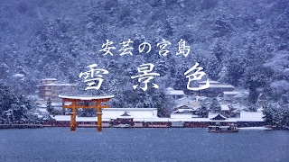 宮島 雪景色 Miyajima snowscape [upl. by Weight]