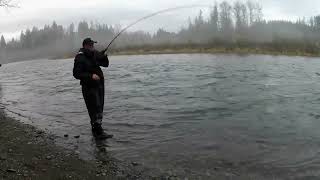 Steelhead Cowlitz River Morning Bite fishing [upl. by Kristoforo]