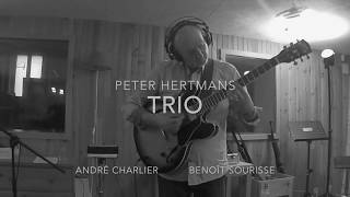 Peter Hertmans trio [upl. by Zorana]