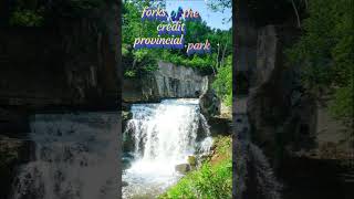 forksofthecredit provincialpark travel naturelovers canadaexplorer nature vlogger 🇨🇦🇨🇦🇨🇦 [upl. by Ativ]