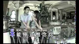 李茂山 Li Mao Shan 愛你 Ai Ni Love Youflv [upl. by Anida]