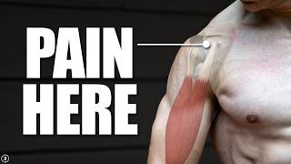 Biceps Tendinopathy  Tendinitis  Anterior Shoulder Pain Rehab Education amp Exercises [upl. by Atinus]