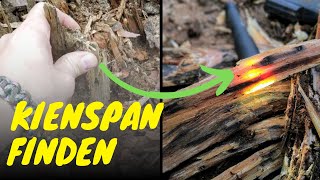 Kienspan gefunden und verarbeitet Bushcraft  Survival [upl. by Nicolette]