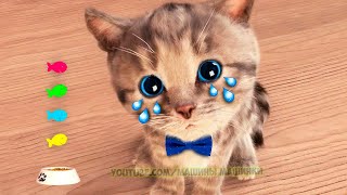 Little Kitten Preschool Adventure Educational Games Play Fun Cute Kitten Pet Care Learning Gameplay [upl. by Sonafets608]