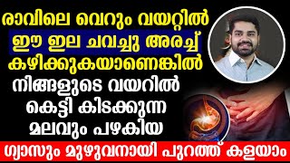 ഈ ഇല ചവച്ചു കഴിക്കുകയാണെങ്കിൽ മലവും പഴകിയ ഗ്യാസും മുഴുവനായി പുറത്ത് കളയാം  Remedies for acidity [upl. by Alidis]