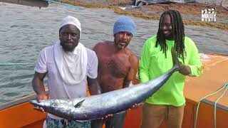 4th Annual Fishing Tournament 2024 Highlights Dieppe Bay  StKitts [upl. by Viva]