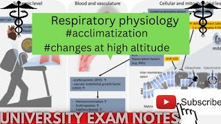 Acclimatization physiologymedicoscontent3135 [upl. by Ledda]