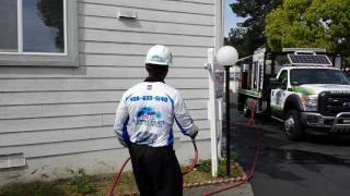 How to wash a house exterior walls without pressure washing [upl. by Hittel]